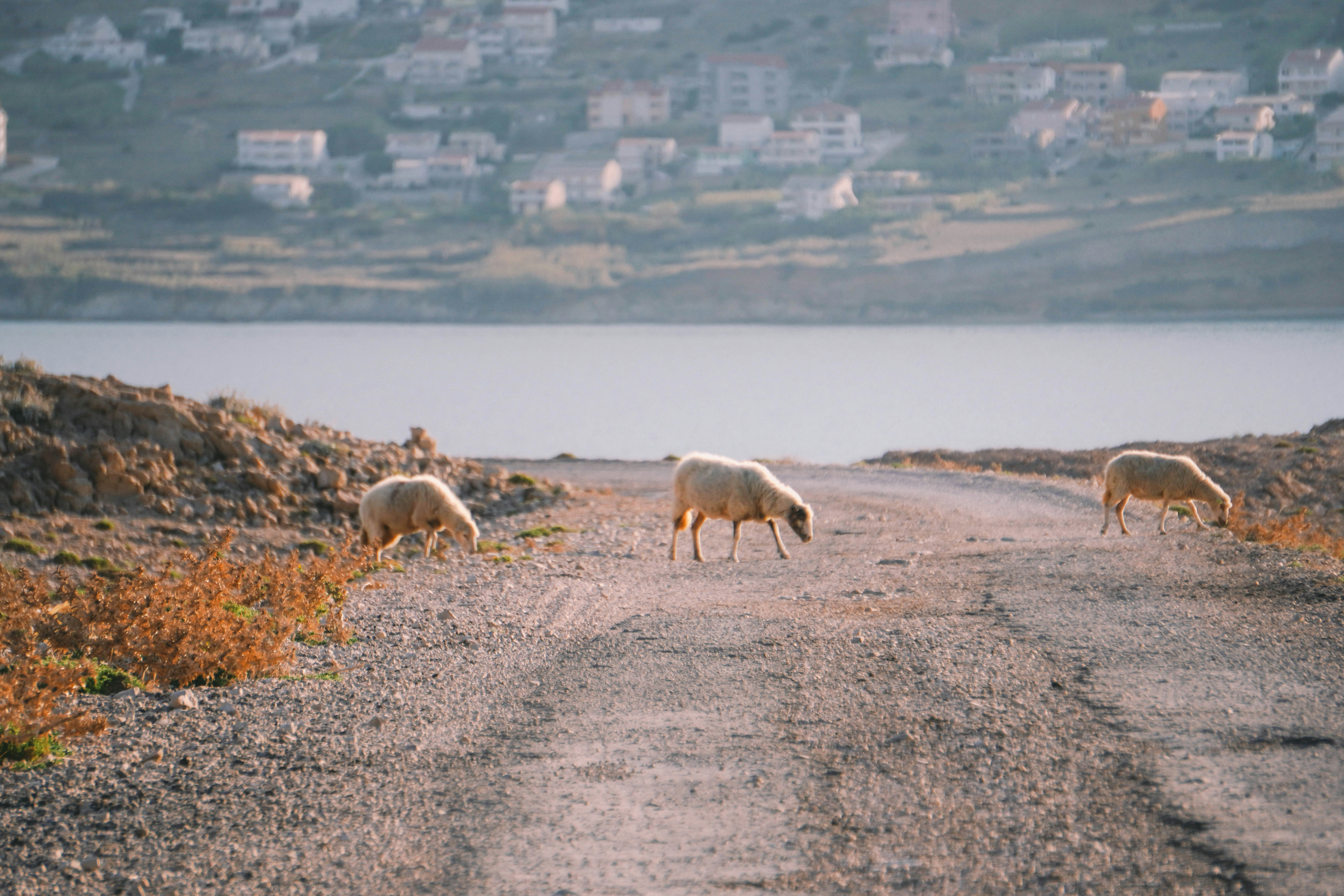 Pag lunar landscape
